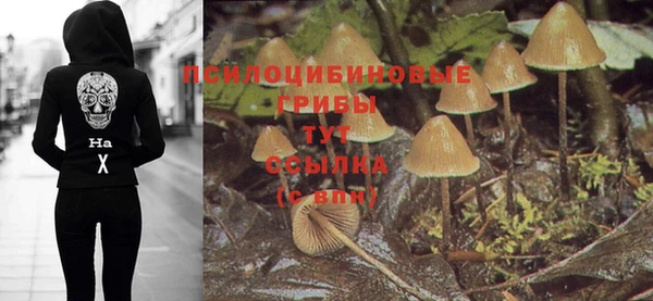 соль курить ск Горнозаводск