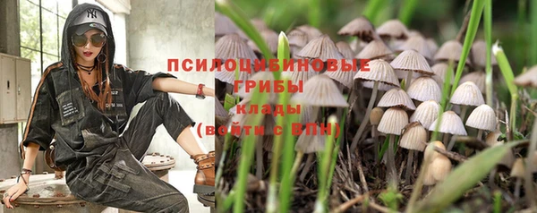 соль курить ск Горнозаводск