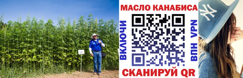 Купить закладки  Навашино  ТГК гашишное масло 